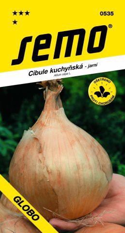 Semo Cibuľa kuchynská jarná  ´Globo´
