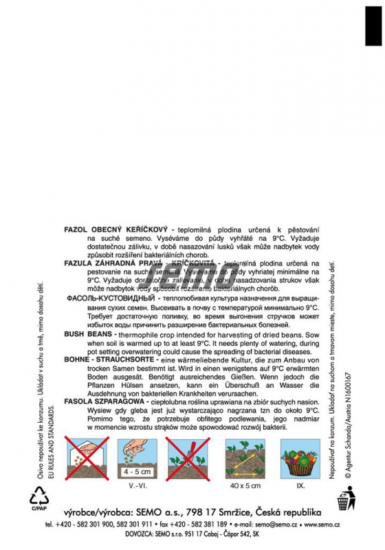 Semo Fazuľa záhradná kríčkovitá ´Cannellino´