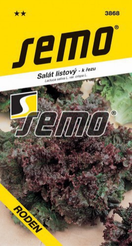 Semo Šalát  listový ´Roden´