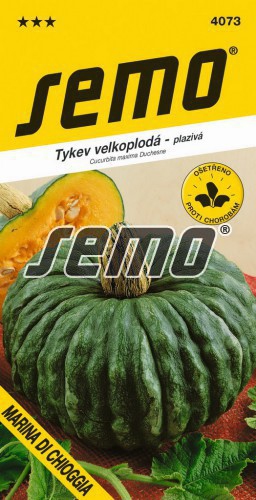 Semo Tekvica veľkoplodá ´Marina di Chioggia´