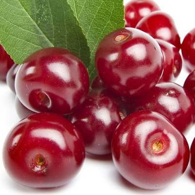 Višňa "Érdi Bötermö" poloskorá, podp. Mahalebka, voľnok.