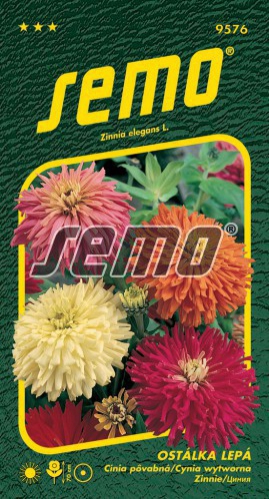 Semo Cínia kaktusokvetá ´Zmes´