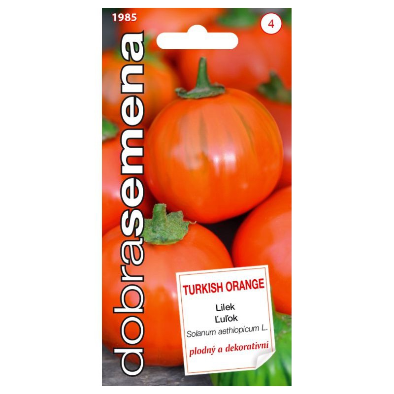 Dobrá semena Baklažán (Ľuľok baklažánový) ´Turkish Orange´