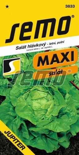 Semo Šalát letný ´Jupiter´