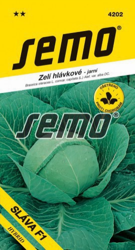 Semo Kapusta hlávková ´Sláva F1´