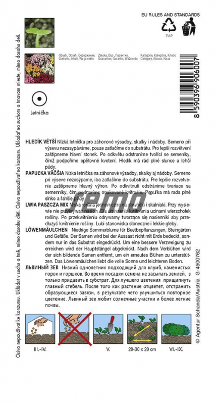 Semo Papuľka nízka ´Tom Pouce´