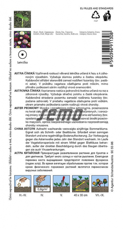 Semo  Astra čínska ´Pompon Zmes´