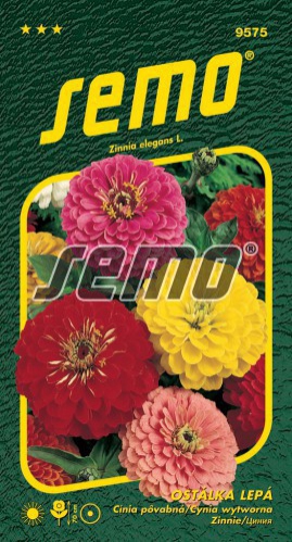 Semo Cínia ´Geant de California´