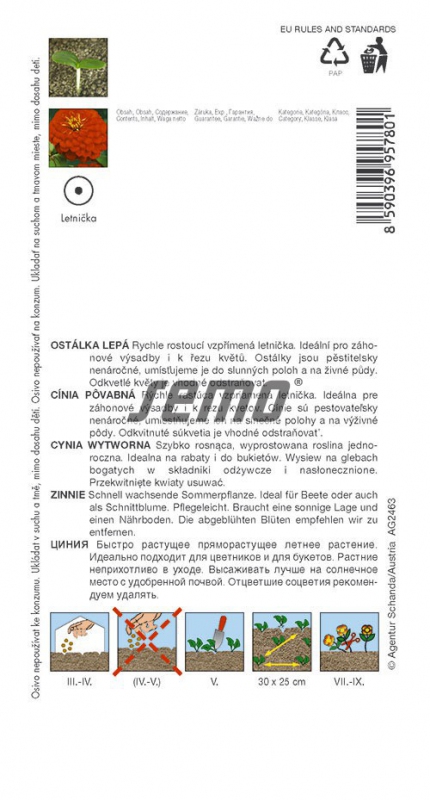 Semo Cínia ´Cherry Queen´