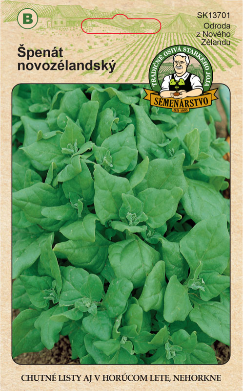 Semenárstvo Špenát novozélandský