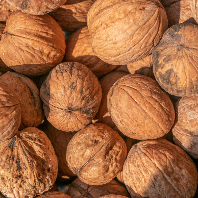 Orech ´Fernor´, voľnok.