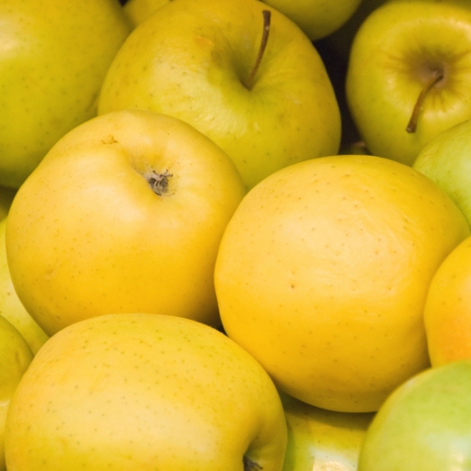 Jabloň ´Golden Delicious´ zimná, podpn.MM106, voľnok.