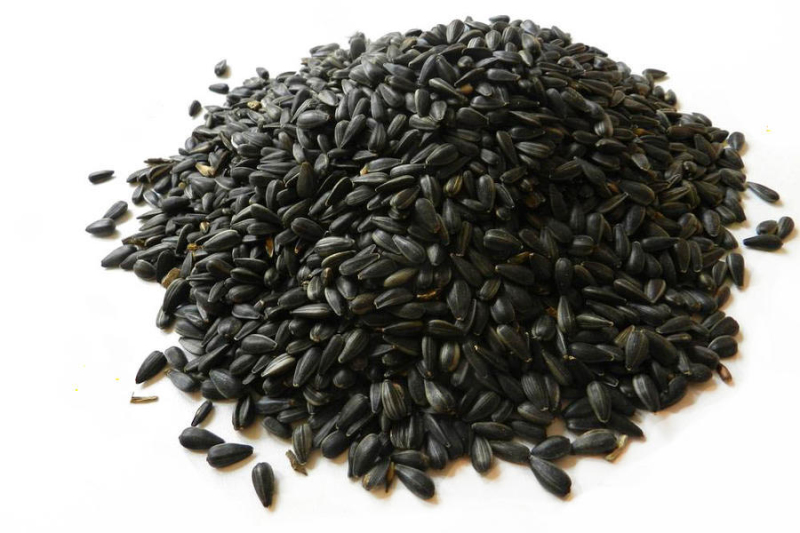 Forestina slnečnica čierna - kŕmna 25kg