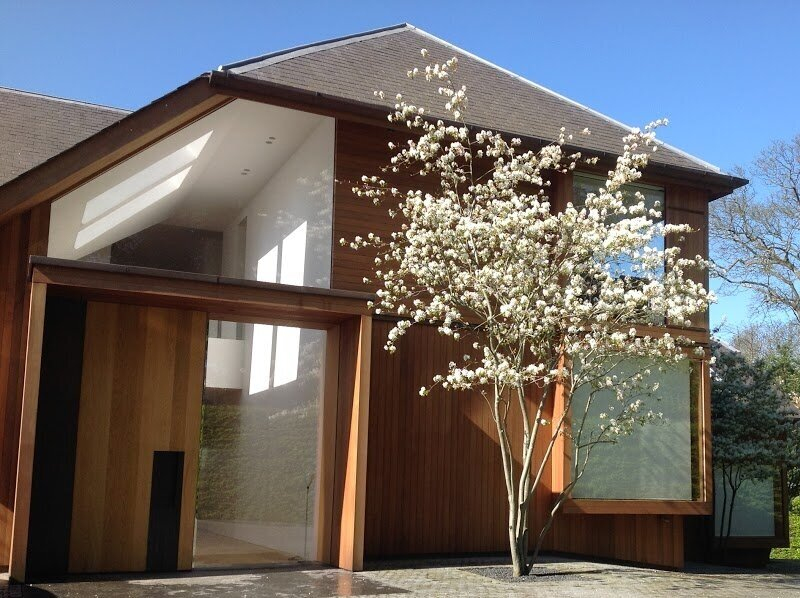 Muchovník Lamarckov 300cm+