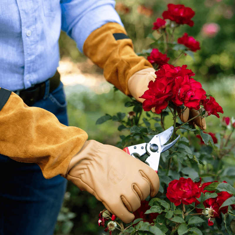 FELCO 705  Rukavice na ruže