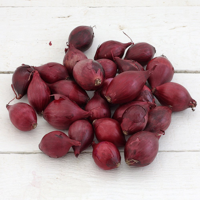 Cibuľa sadzačka ´Red Baron´ 10/21  0,25kg