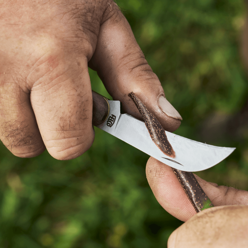 FELCO 511  Očkovací nôž na vinič