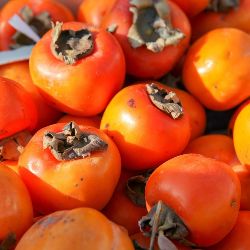 Hurmikaki ´Vaniglia´ na kmienku