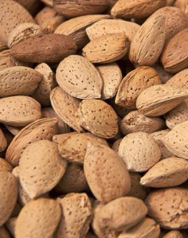 Mandľa ´Vama´, kont. 5l