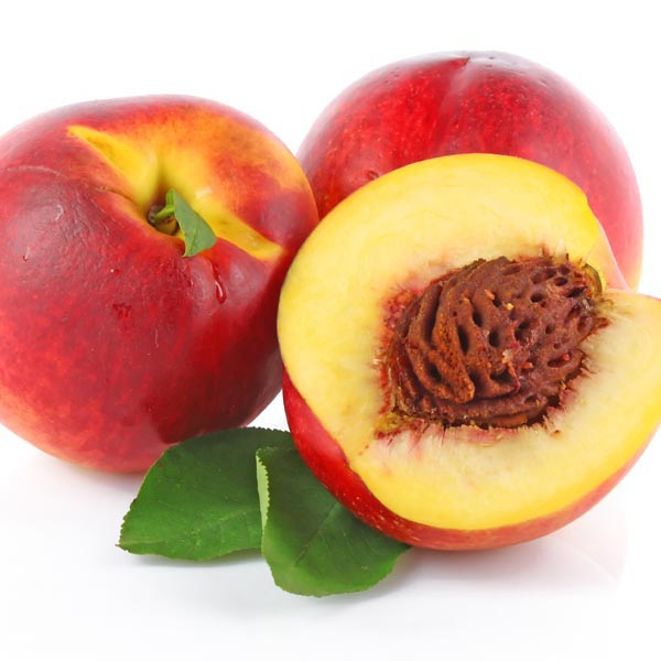 Nektarinka ´Fantasia´ neskorá, podp. GF677, voľnok.