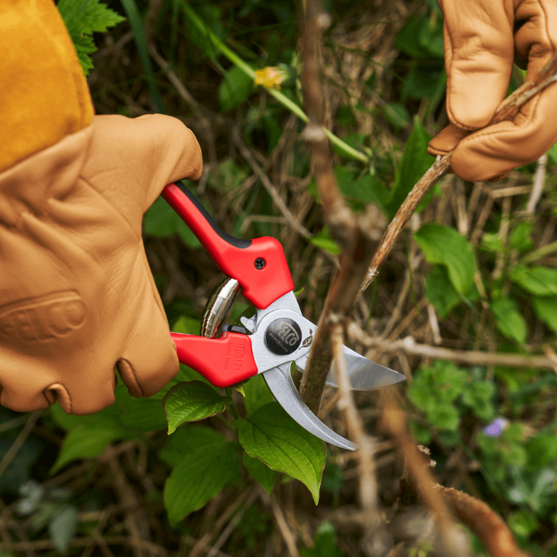 FELCO 171L Nožnice + FELCO 902 brúska