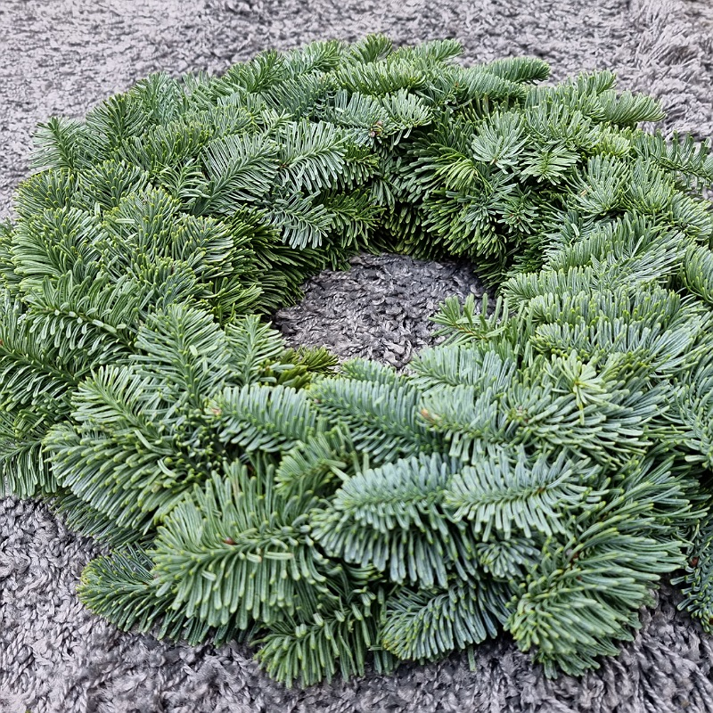 Veniec vianočný (Abies Nobilis) 30cm