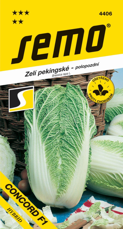 Semo Kapusta pekinská ´Concord F1´