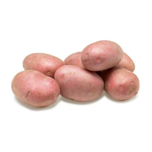 Sadbové zemiaky ´Memphis´ 5kg