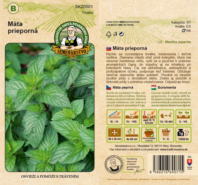 Semenárstvo Mäta prieporná