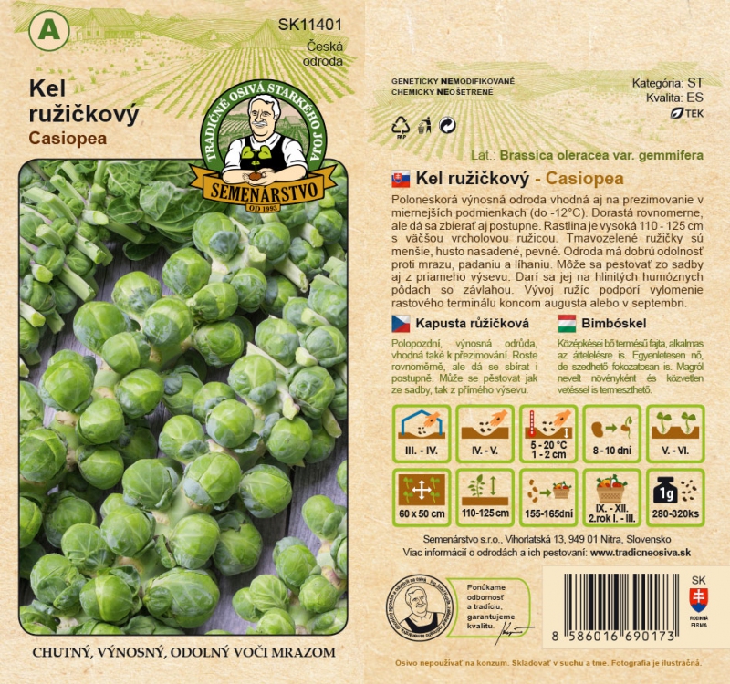 Semenárstvo Kel ružičkový ´Casiopea´