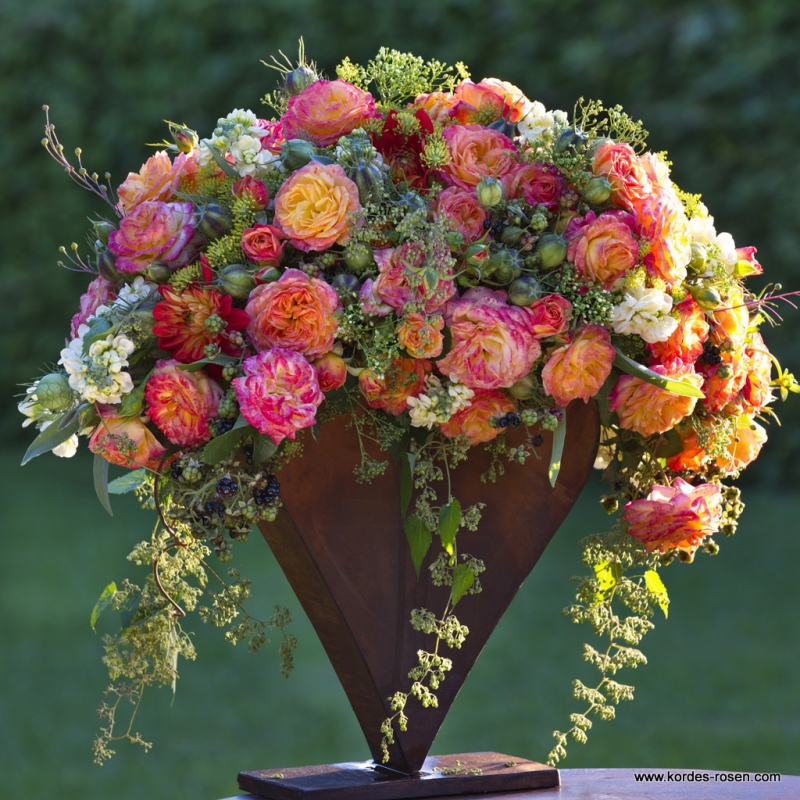 Ruža ´Gartenspass´