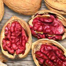 Orech ´Červenoplodý´