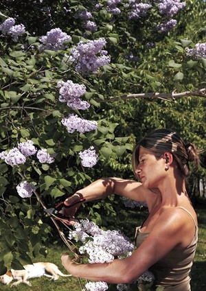 FELCO 160L  Záhradné nožnice