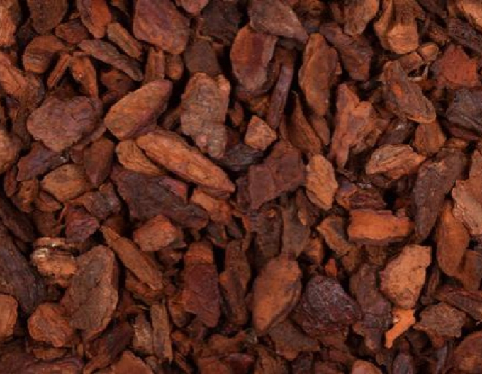 Saniflor Píniová kôra 35/45mm 60l