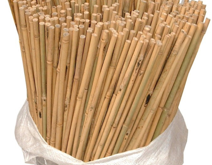 Bambusová tyč 150cm 14/16