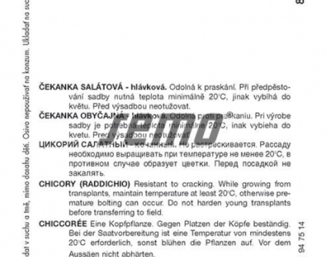 Semo Čakanka hlávková - šalátová ´Palla Rossa 3´