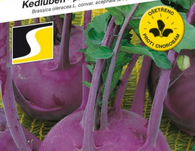 Semo Kaleráb ´Purpuran F1´