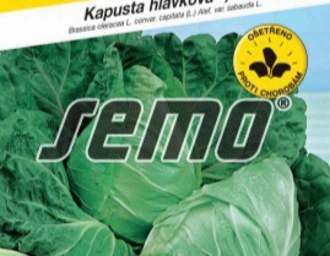 Semo Kel hlavkový ´Predzvesť´