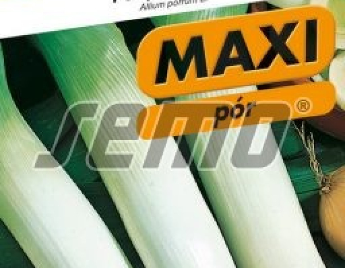 Semo Pór pravý ´Zwitserse Reuzen´