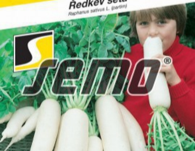 Semo Reďkovka siata ´Japana F1´