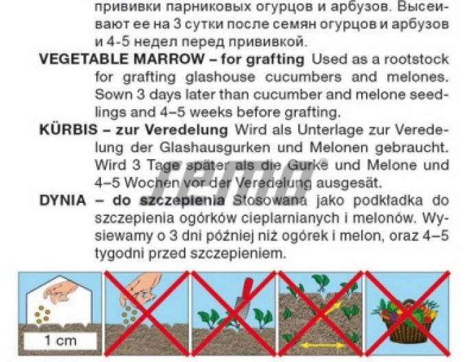 Semo Tekvica na vrúbľovanie ´Bolt F1´