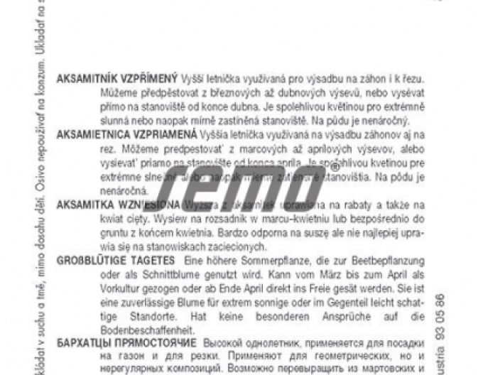 Semo Aksamietnica vzpriamená ´Kilimanjaro White´