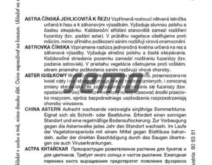 Semo  Astra čínska ´Electric Zmes´