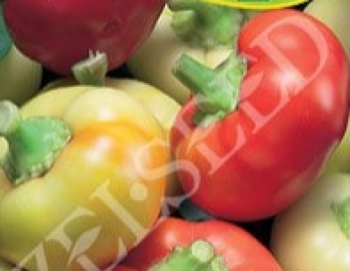 Zelseed Paprika ročná jabĺčková štiplavá ´Ilika´