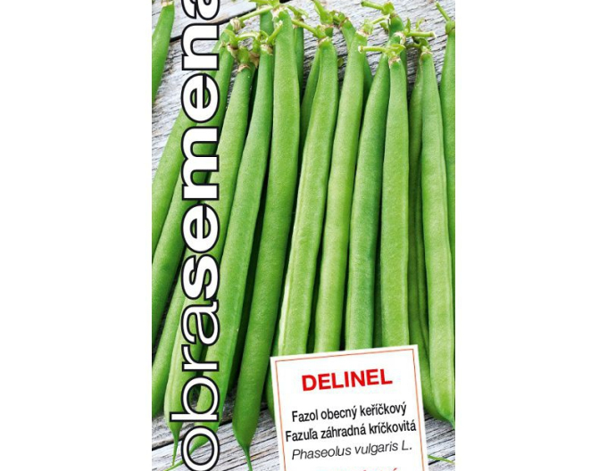 Dobrá semena Fazuľa záhradná kríčkovitá ´Delinel´