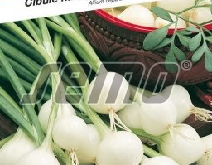 Semo Cibuľa kuchynská jarná  ´Pompei´