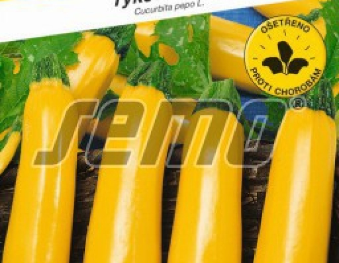 Semo Tekvica cuketa  ´Orelia F1´