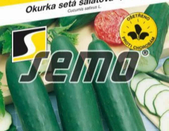 Semo Uhorka siata šalátová ´Linda F1 Mix´