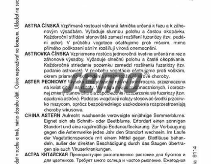 Semo  Astra čínska ´Matsumoto Zmes´