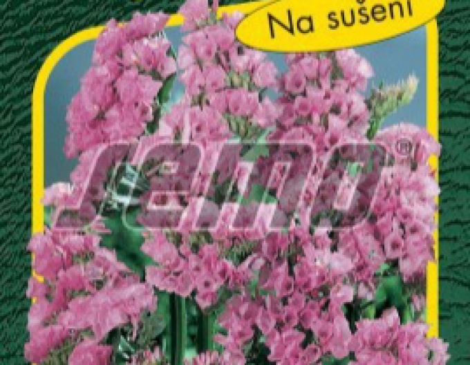 Semo Limonka ´Rosea Superba´